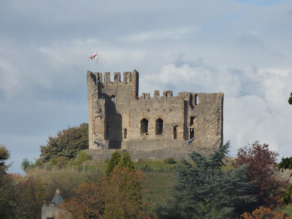 Dudley Castle & Zoo Another look at Dudley Castle & Zoo. T… Flickr