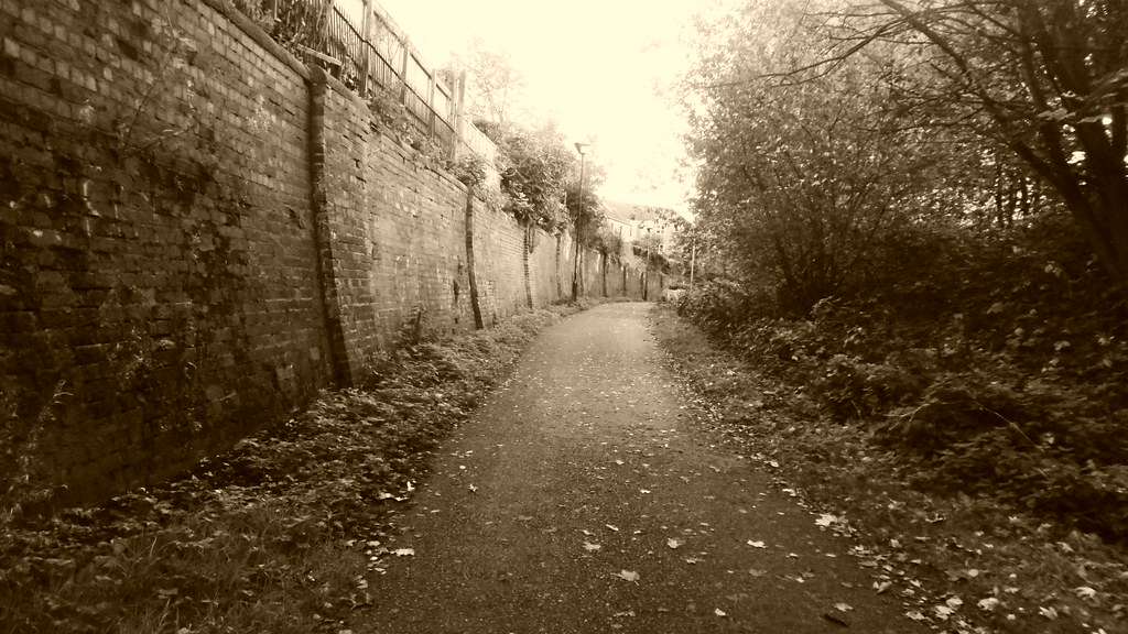 Cutting nr Mill Lane, York (Rowntree / Foss Island old rai… Flickr