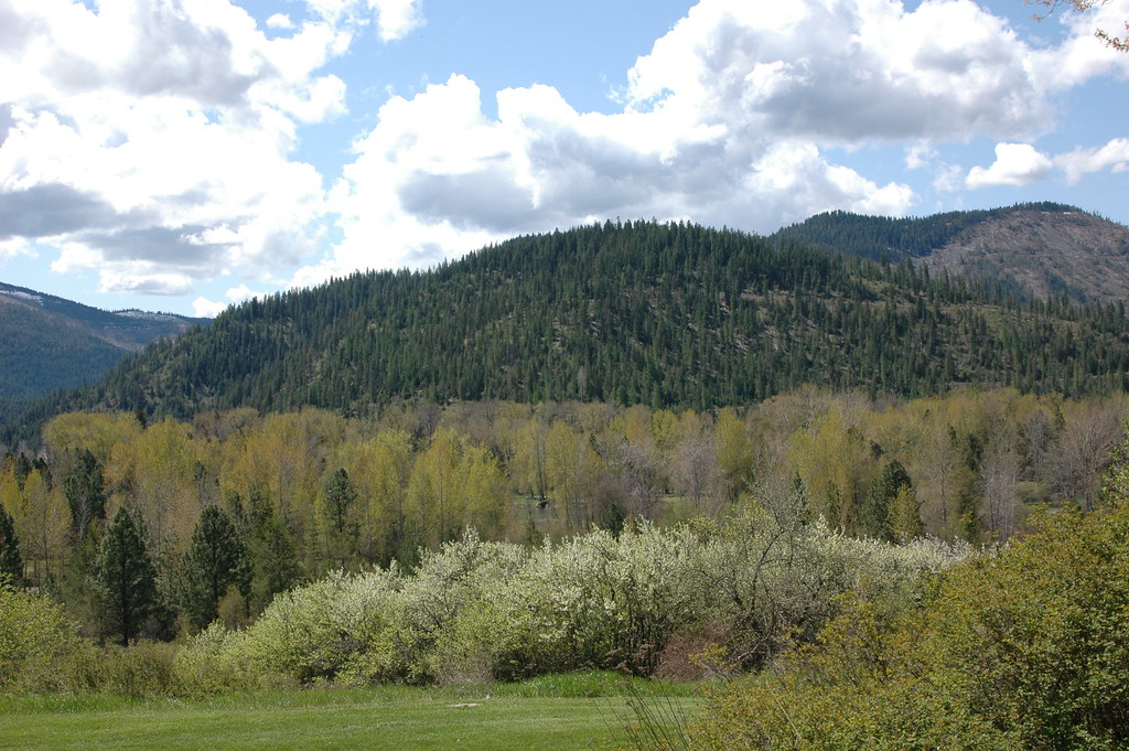 Elevation of Pinehurst, ID, USA Topographic Map Altitude Map