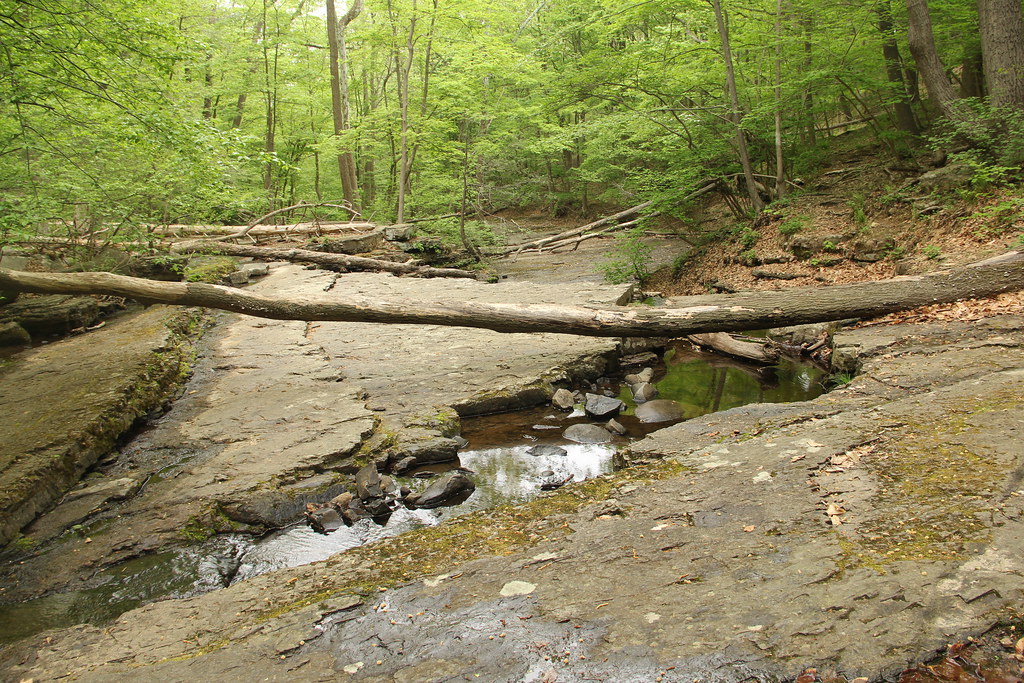 Ringing Rocks Park Why Do They Ring at Jose Mclaughlin blog
