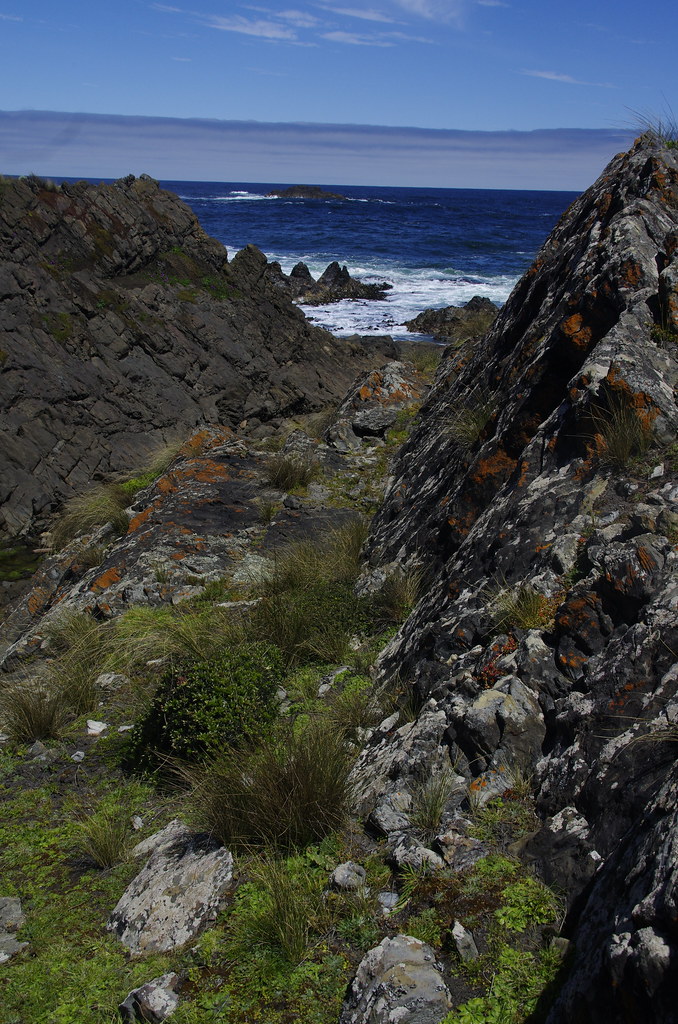 Gardiner Point Erika Flickr