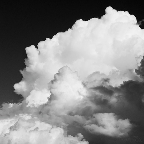 i am the daughter of earth and water, and the nursling of … Flickr