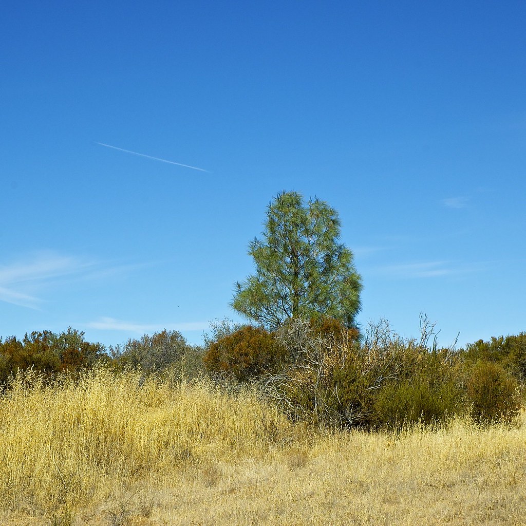 DSC_0031a12 A road trip to BLM land near Indian Valley Re… Flickr