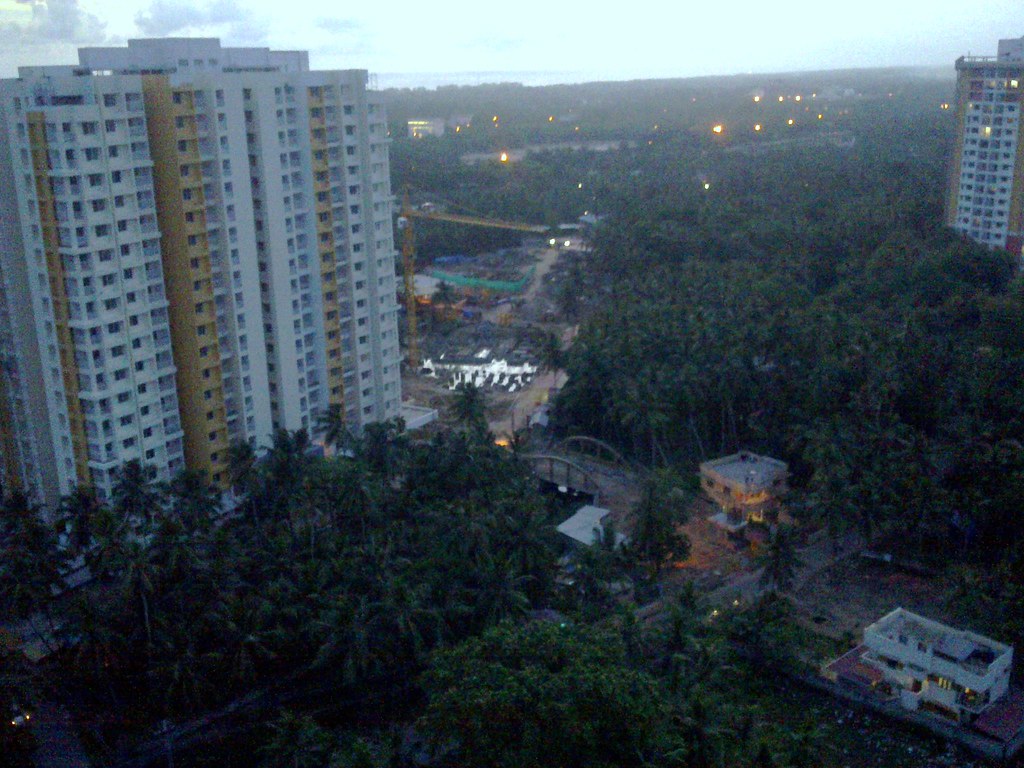 Condor Cassia Appu Mohan Flickr