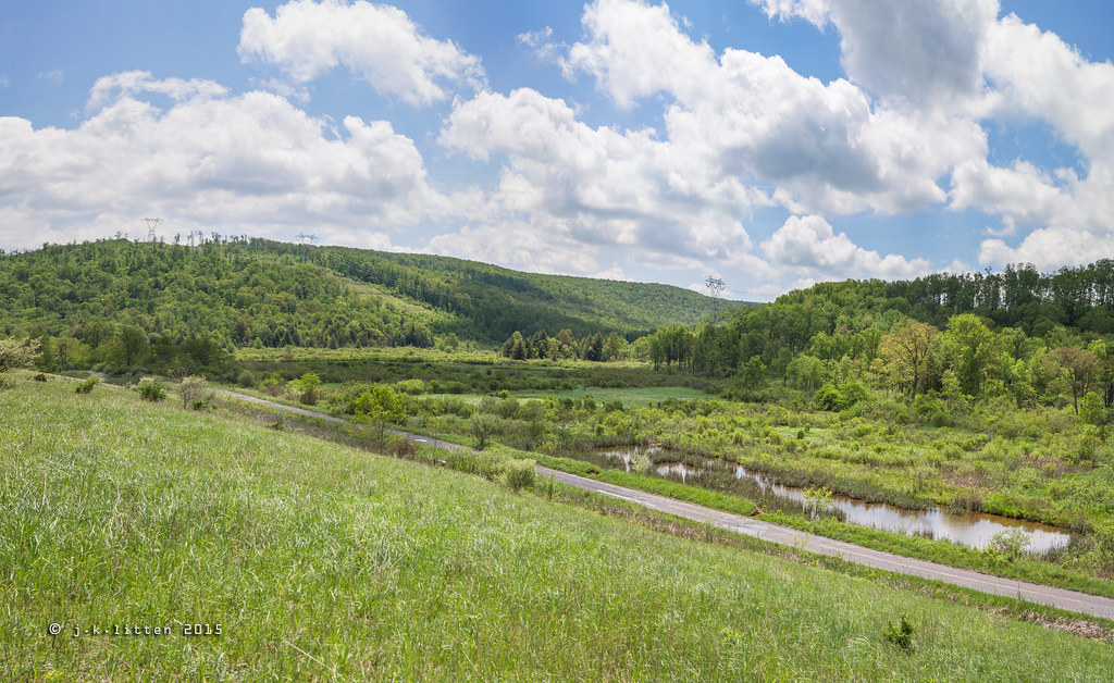 North Branch Potomac River Wetlands looking South Western Maryland