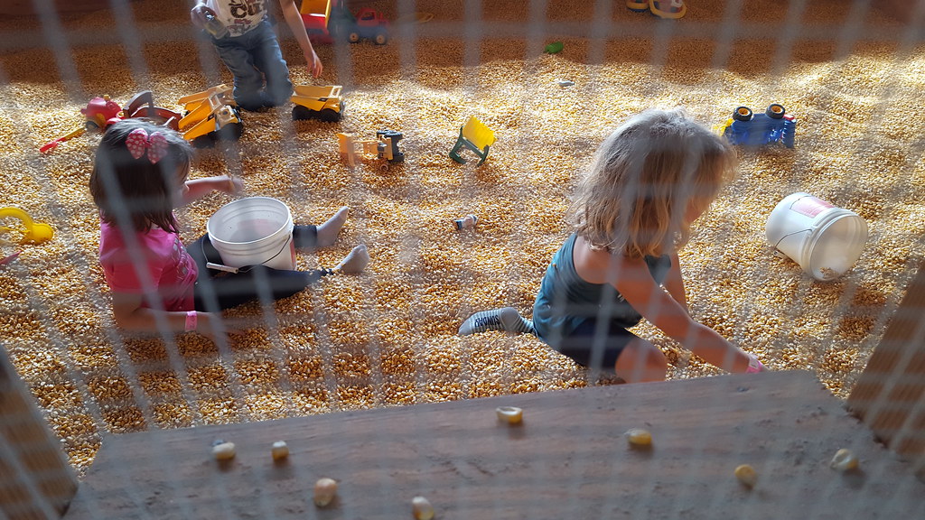 Oktoberfest/Naylor Farm Danielle Jackson Flickr