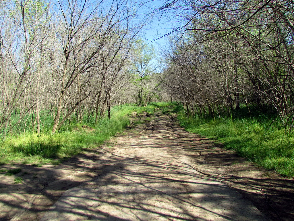 Haw River Trail Saxapahaw NC 6508 Haw River Trail Saxapaha… Flickr