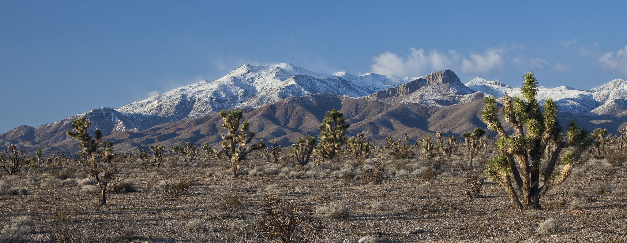 Beaver Dam Wash NCA Flickr