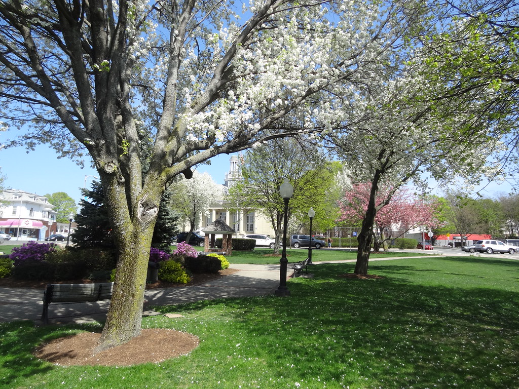 Odell Park in the Spring Odell Park (Also known as Veteran… Flickr