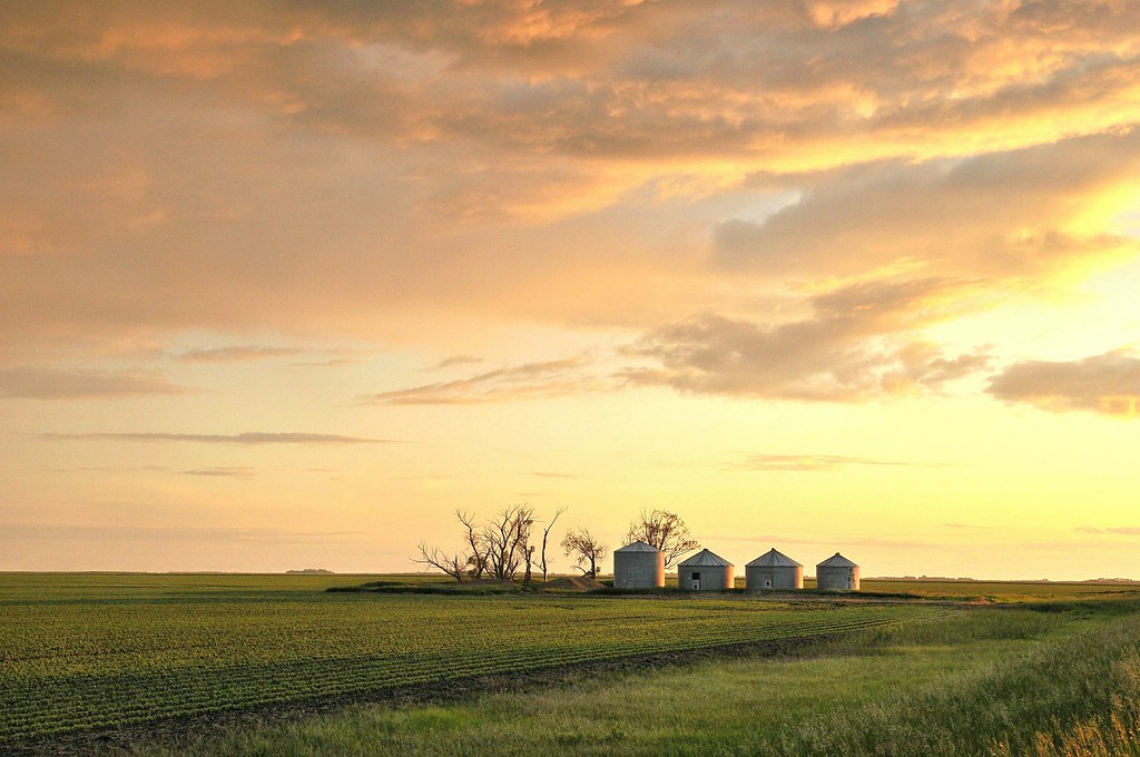 . perfect evening . These fields in rural Manitoba are inc… Flickr