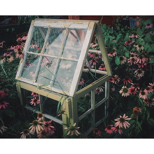 Awesome lil' faux greenhouse. gardening architecture gr… Flickr
