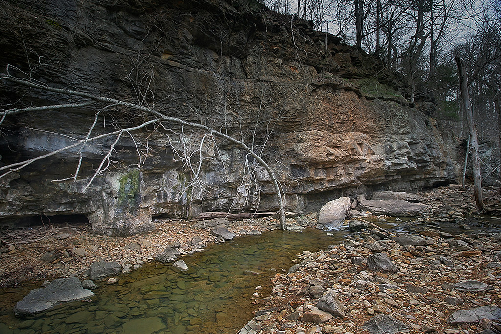 Hall's Creek Canyon Near Ravenden Springs, AR. Eric Smith Flickr