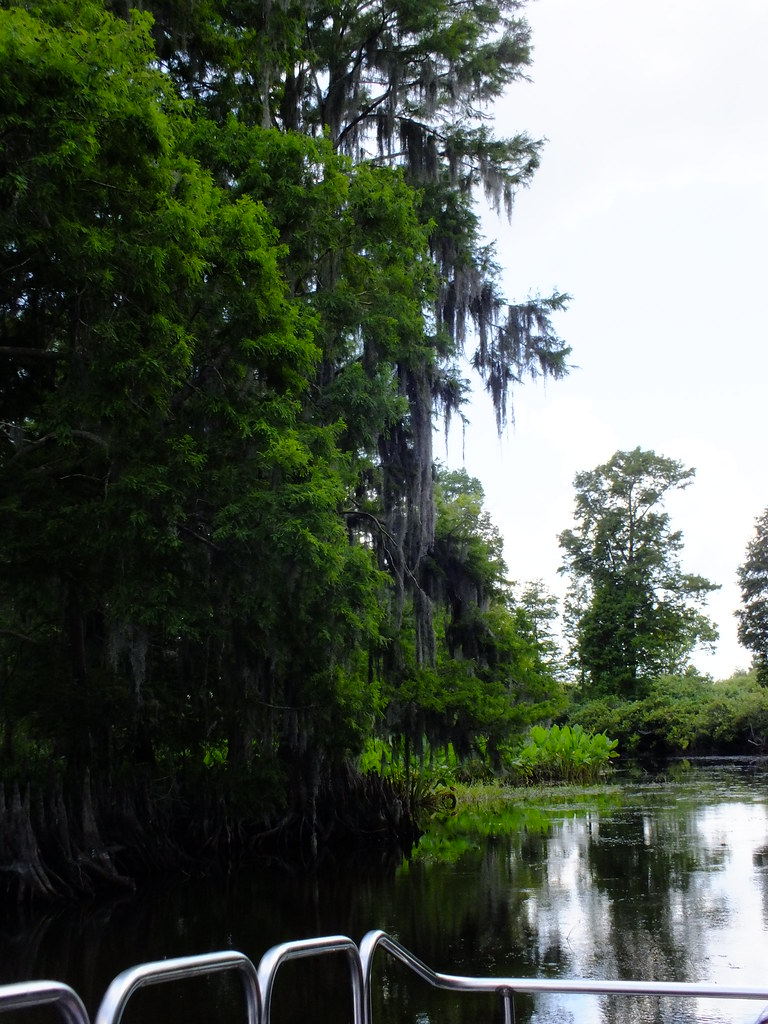 Wild Florida Air Boats Cypress Lake, Kenansville FL Flickr