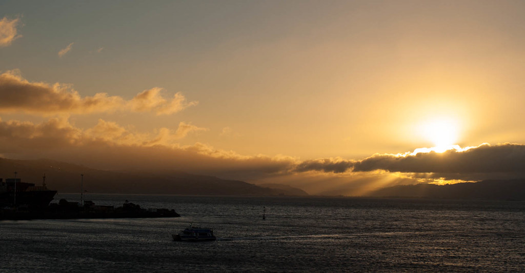 Wellington Sunrise A shot of sunrise over Wellington Harbo… Flickr