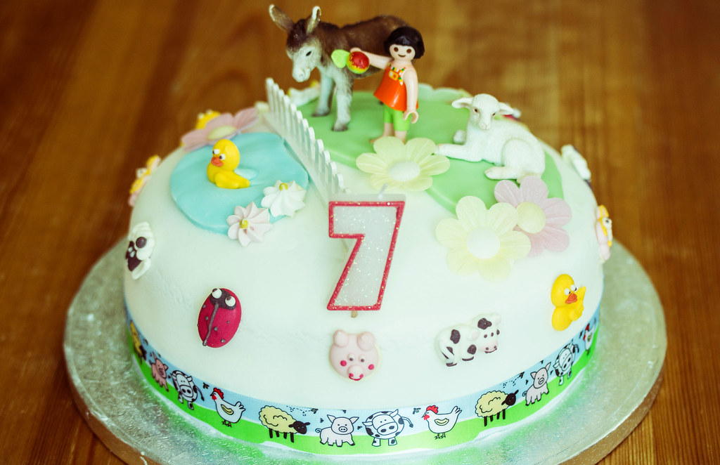 Mead Open Farm Party www.songbirdphotography.co.uk Justine Skinner