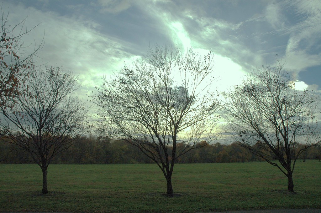 Silence of Heritage Park, Allentown, NJ 047 The arrangemen… Flickr
