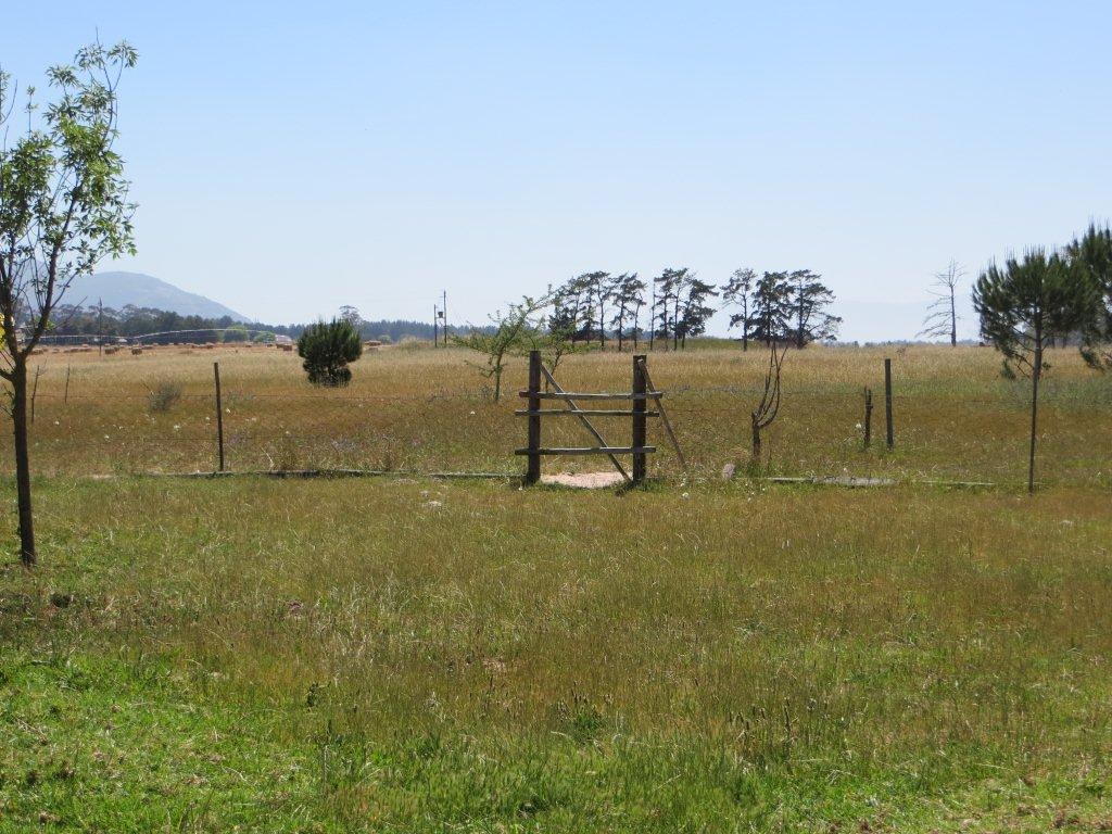 Lime Citrus farm for sale Malmesbury South Africa Lime far… Flickr
