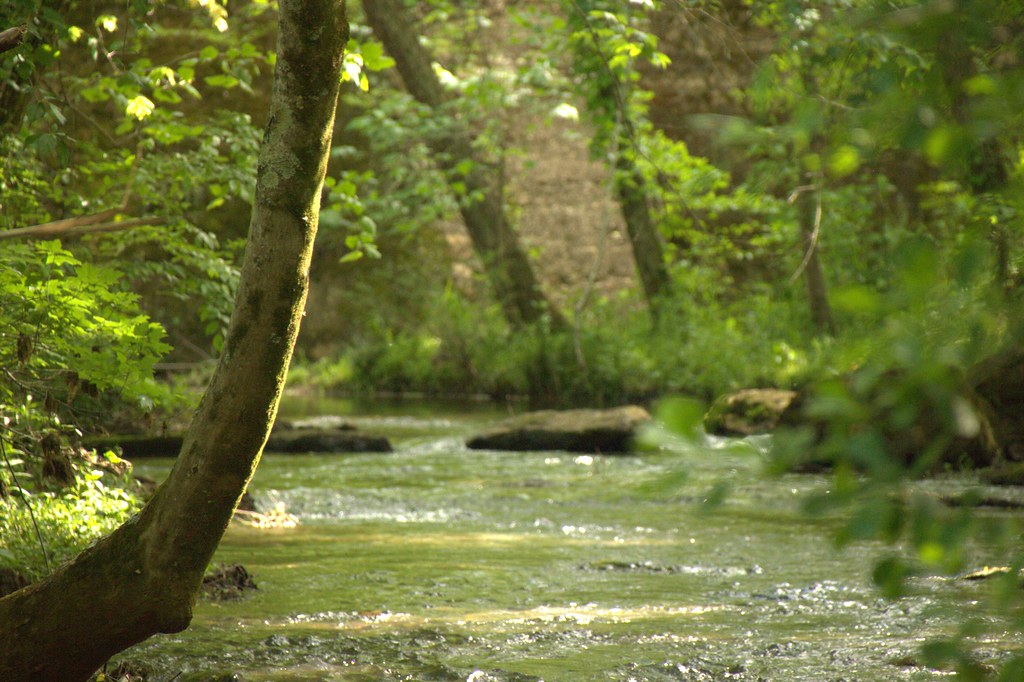 Alabama From several areas in north Alabama including a da… Flickr