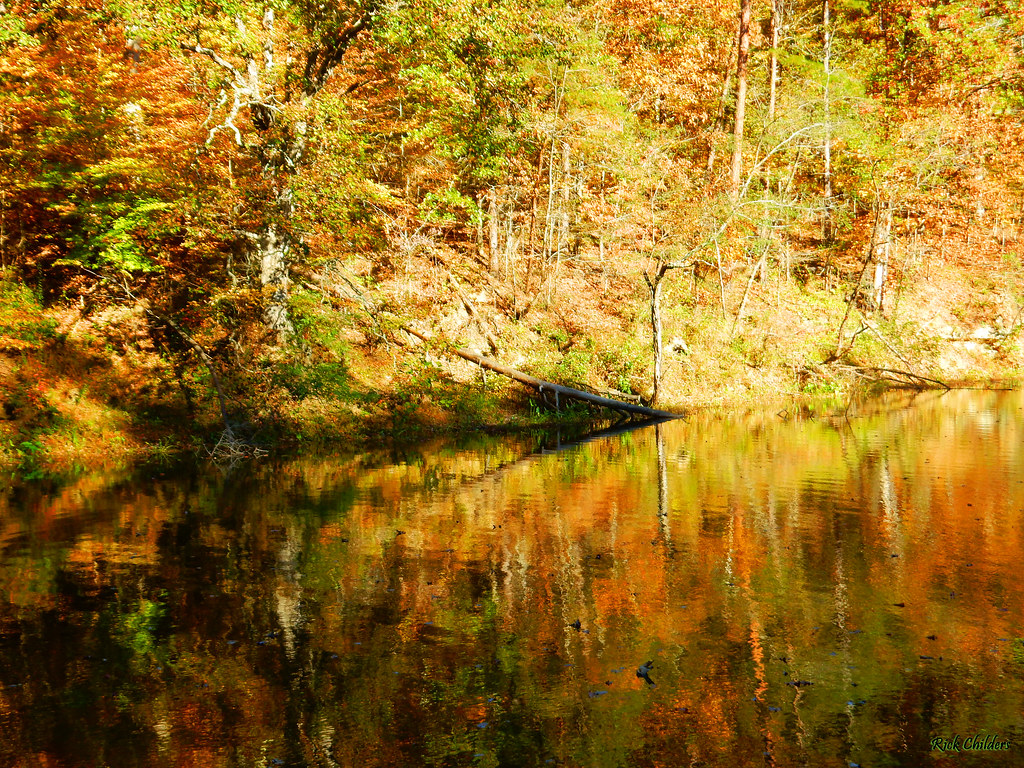 Elevation of Wurtland, KY, USA Topographic Map Altitude Map