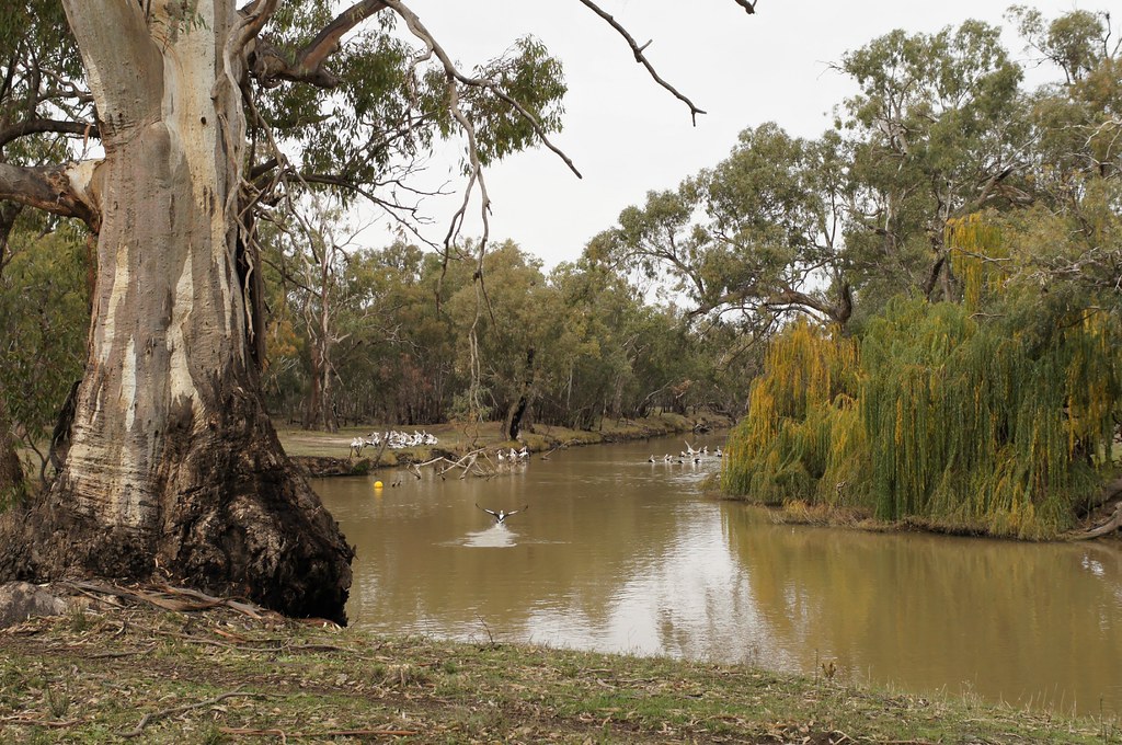 Lachlan River west of Lake Cargelligo 1306058593 Near Mou… Flickr