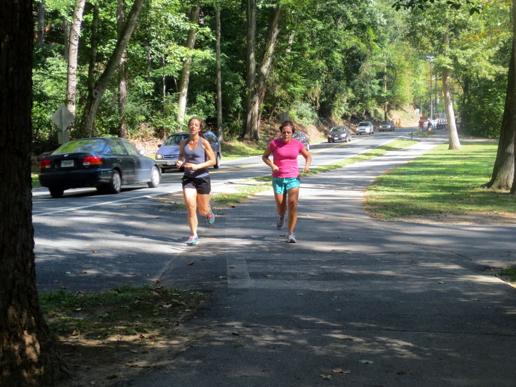 Sligo Creek Clean Up Park Hills, Silver Spring, MD Flickr