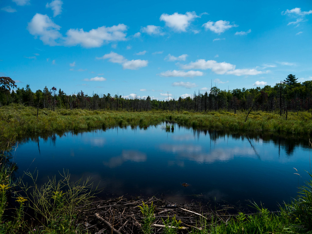Elevation of Skandia Township, MI, USA Topographic Map Altitude Map