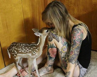 Fawn With Natural Spot Tattoos Kissing Tattooed Girl | Flickr 255_x_320_jpg