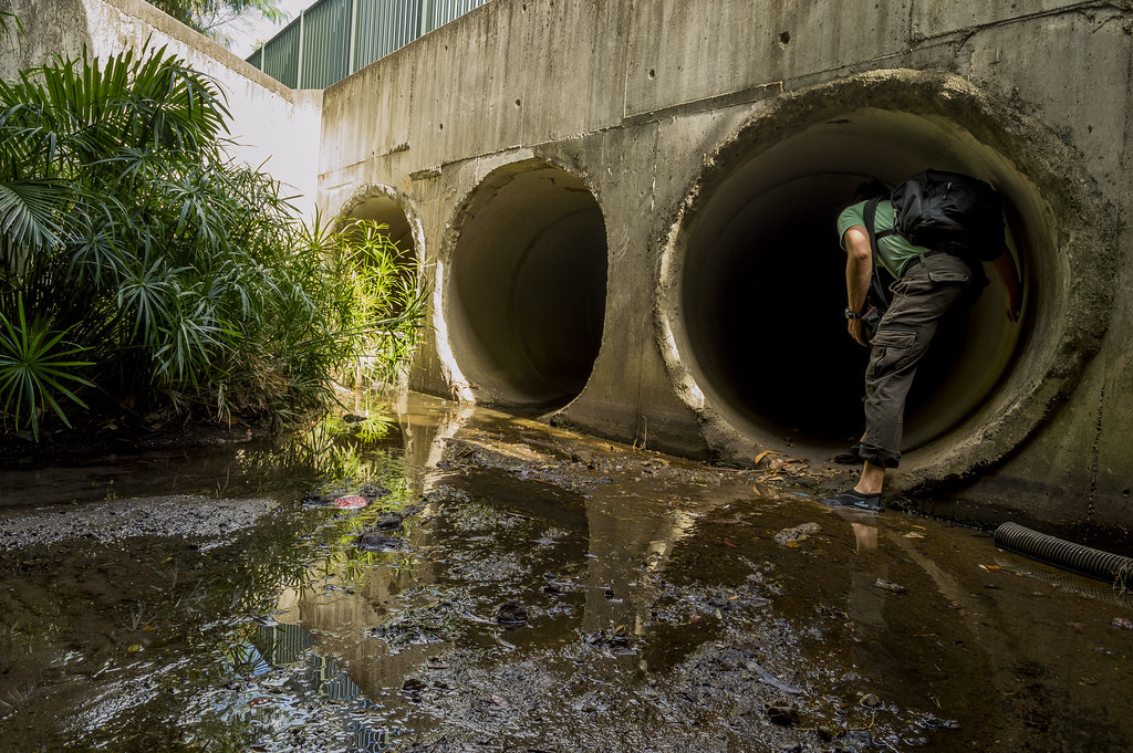 Brisbane Storm Drain We took different pipes to this point… Flickr