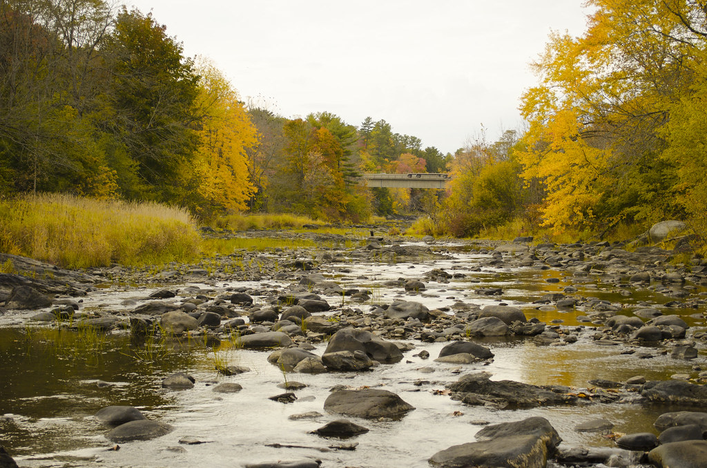 Autumn Stream Down the Kenduskeag Stream in Bangor, Maine.… Bröder