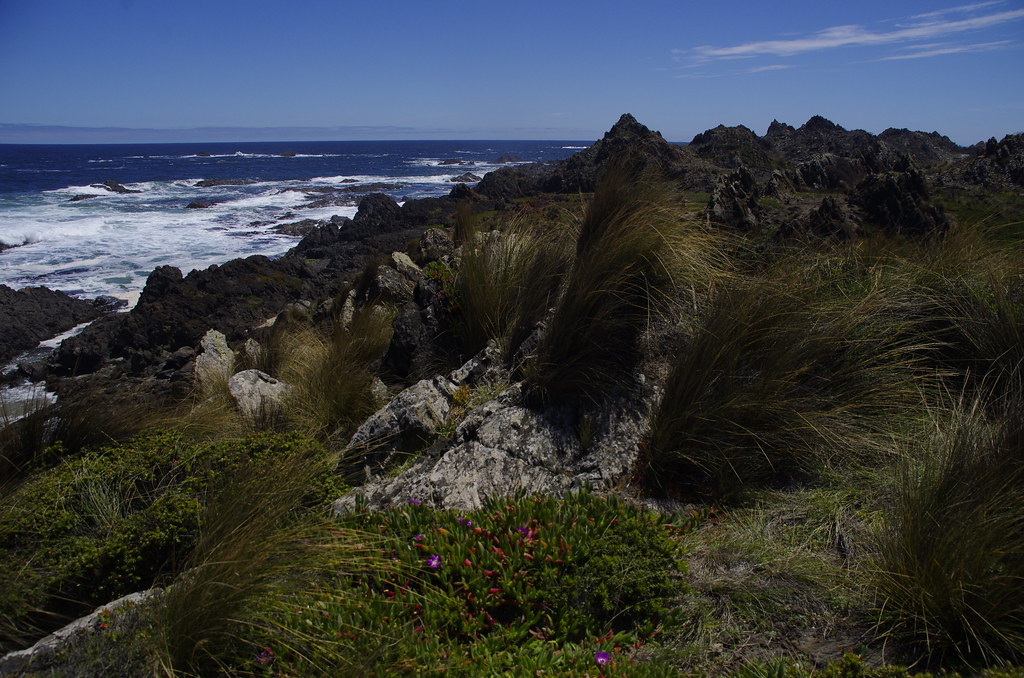 Gardiner Point Erika Flickr