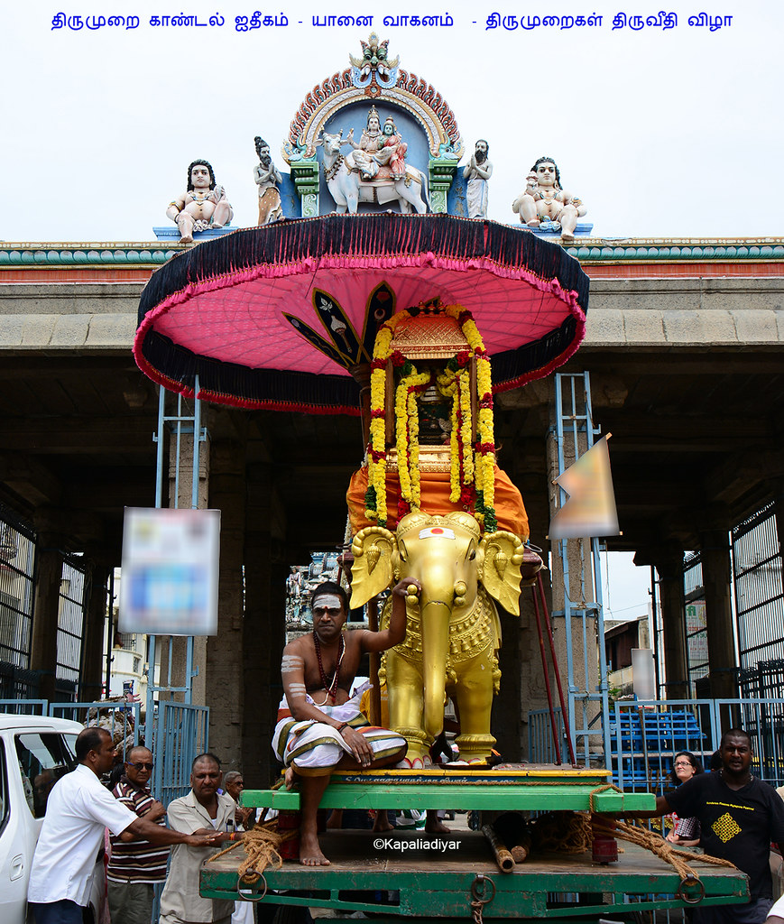 07 பன்னிருதிருமுறை விழா Thirumurai(Tamilதிரு முறை, meanin… Flickr