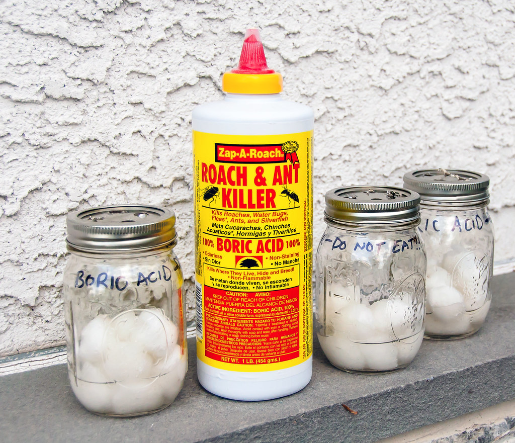 Boric Acid Traps Boric Acid ant bait traps (5/18/14) Annie Thorne