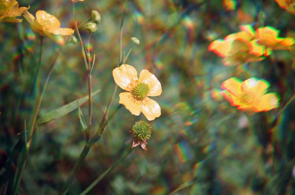 Arts And Flowers Tyldesley / Arts Flowers Tyldesley 143