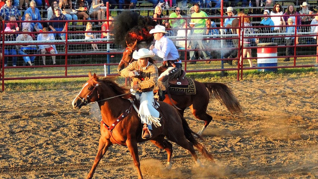 Gerry Rodeo Gerry, New York. August 2013 Jim Mullhaupt Flickr