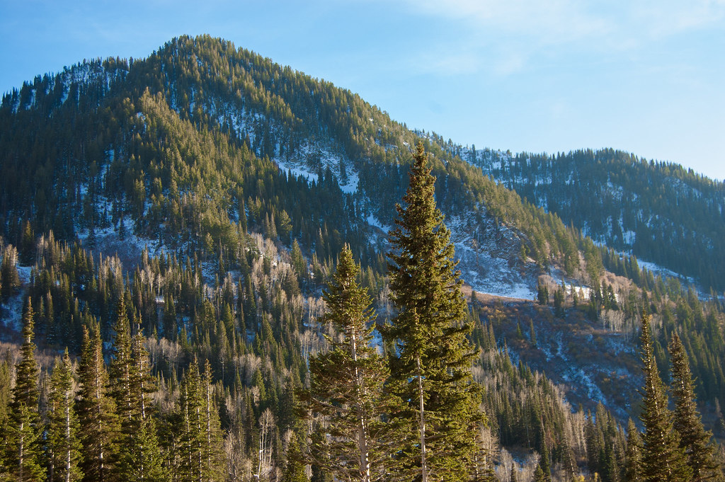 Little Cottonwood Canyon Little Cottonwood Canyon near Sal… Flickr
