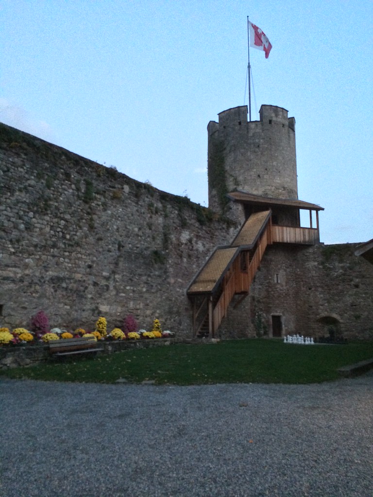Château La TourdePeilz Château de La TourdePeilz Pre… Flickr