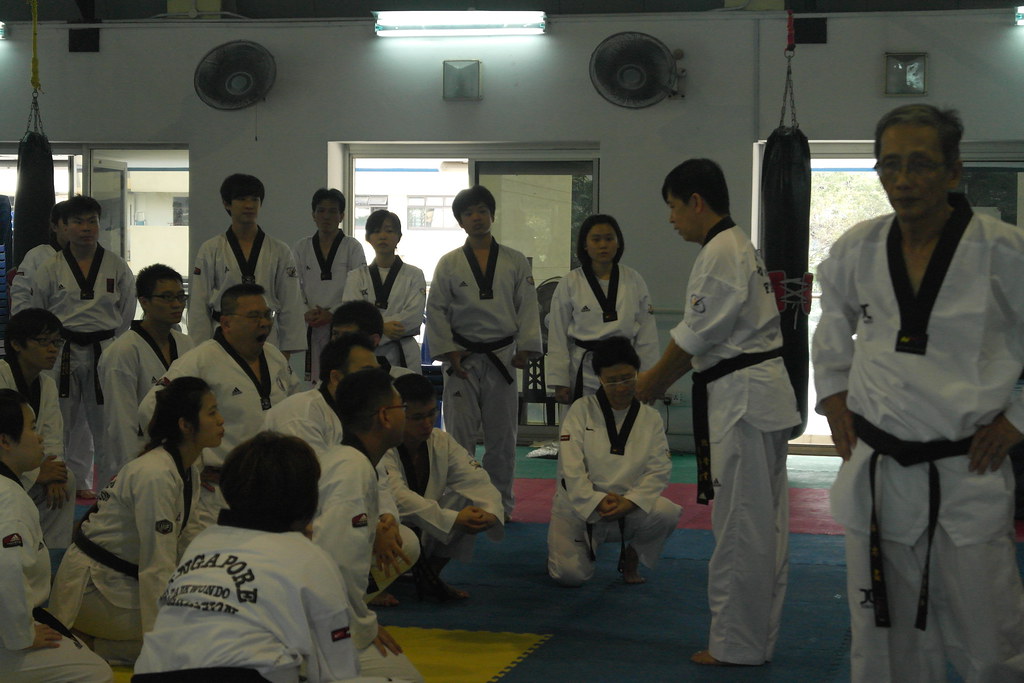 NX1K201311203690 PREF2013 Singapore Taekwondo Flickr