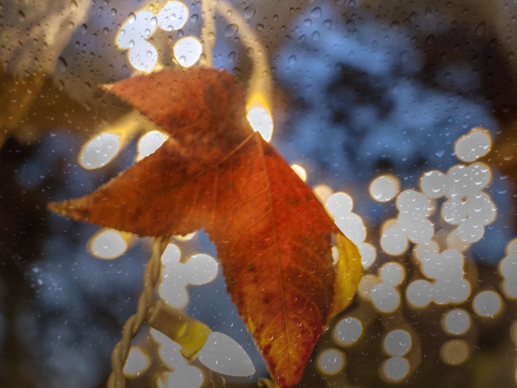 patio lights and rain the patio lights stay on year round.… Flickr