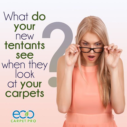 Eco Carpet Pro Gives Virginia Beach a Taste of Its Incredi… Flickr