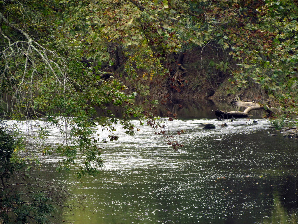 Deep River Park Gulf NC 6028 bobistraveling Flickr