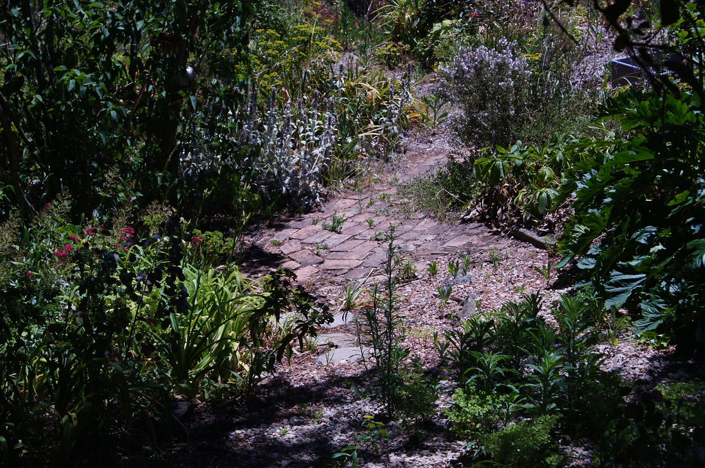 Flowers Flowers Oberon Wayne Hill Flickr