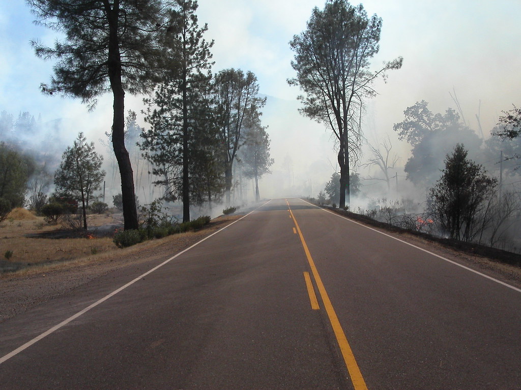 French Fire 2004 French Fire in French Gulch, CA 2004 Amanda