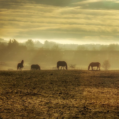 Tyersal & Pudsey in autumn Photos from around Tyersal and … Flickr