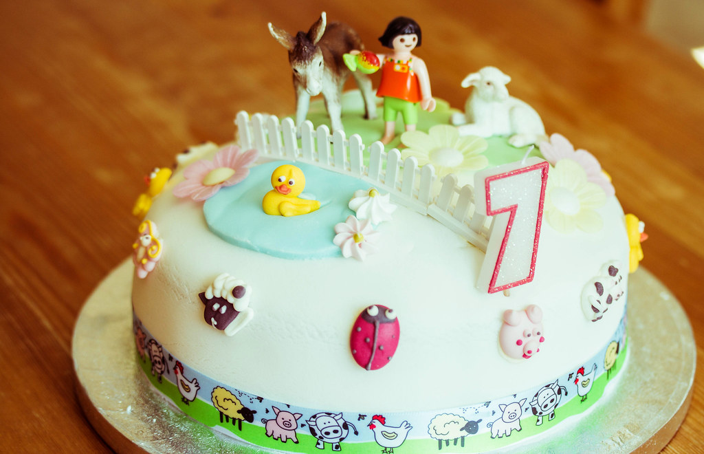 Mead Open Farm Party www.songbirdphotography.co.uk Justine Skinner