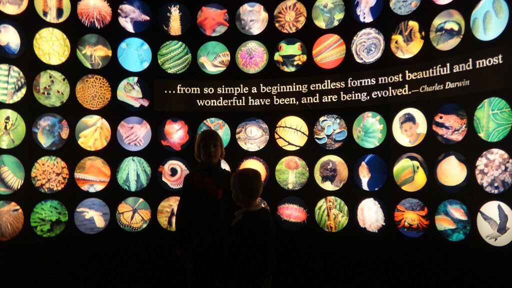 Chicago Field Museum 2013 Flickr