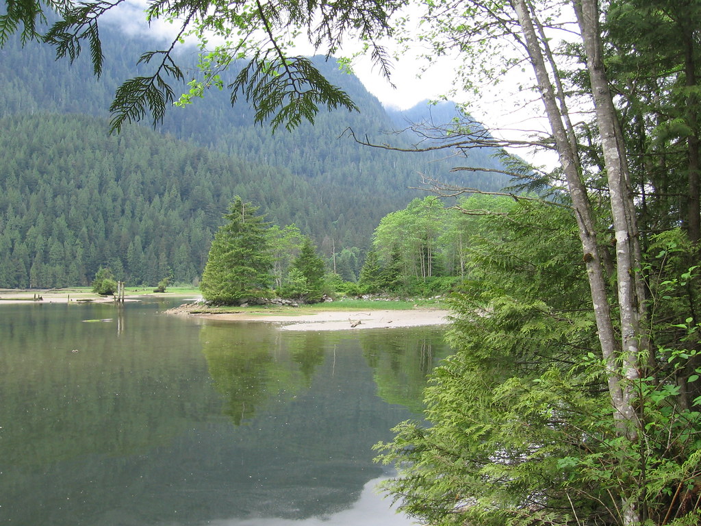 Indian River estuary Niall Williams Flickr