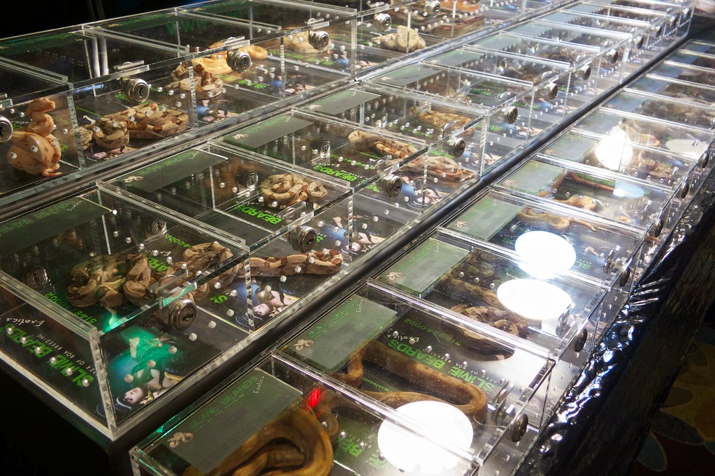 Montreal Reptile Expo Jonathan Crowe Flickr