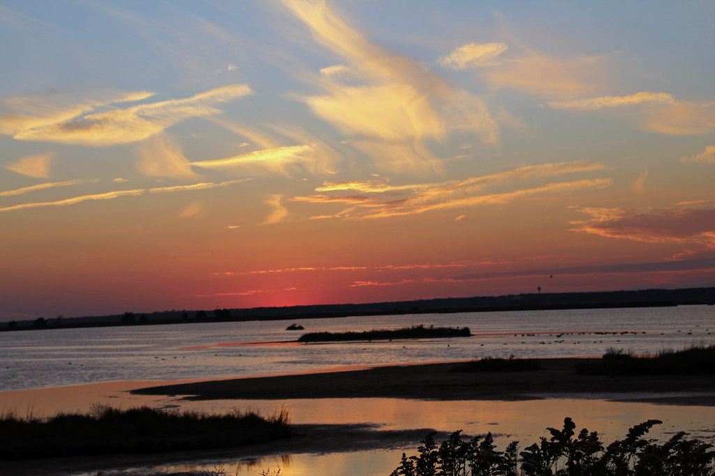 Edwin B. Forsythe National Wildlife Refuge Absecon, NJ Christine