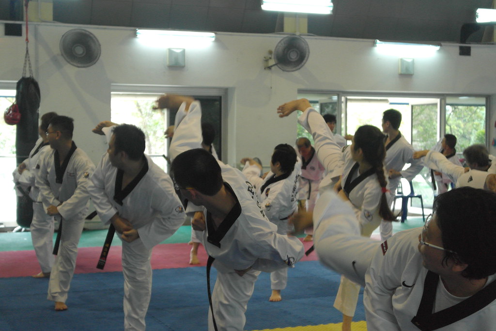 NX1K201311203803 PREF2013 Singapore Taekwondo Flickr