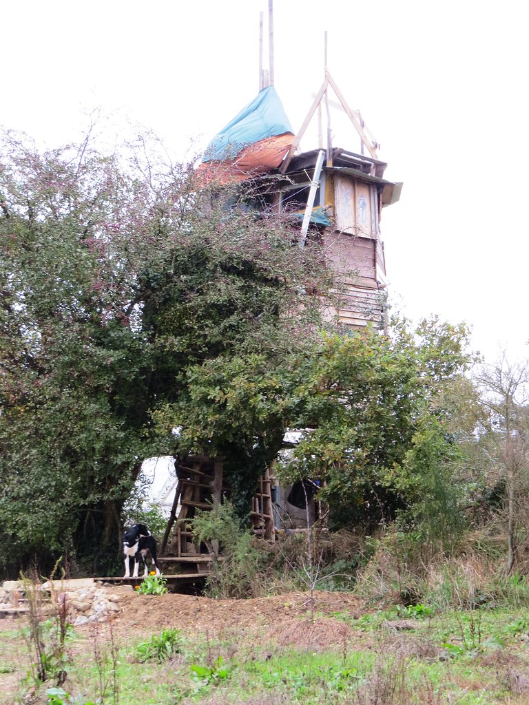 Notredamedeslandes le 24 novembre 2013 arboretum !!! Flickr